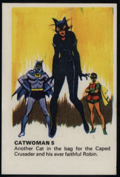 66MTB Catwoman 5.jpg